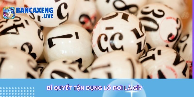 Bí quyết tận dụng lô rơi là gì? Bí quyết tận dụng lô rơi là gì?