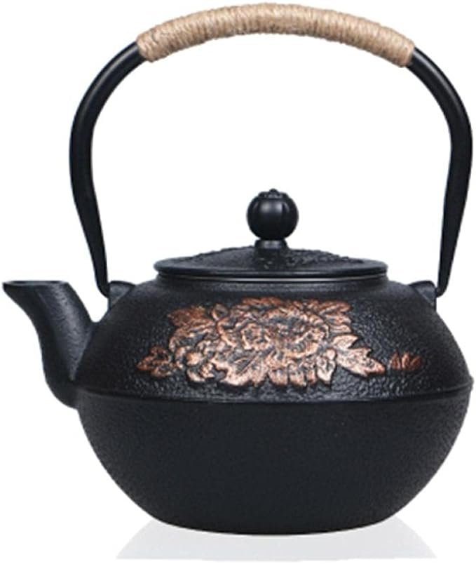 Japanese Cast Iron Tea Pot Set